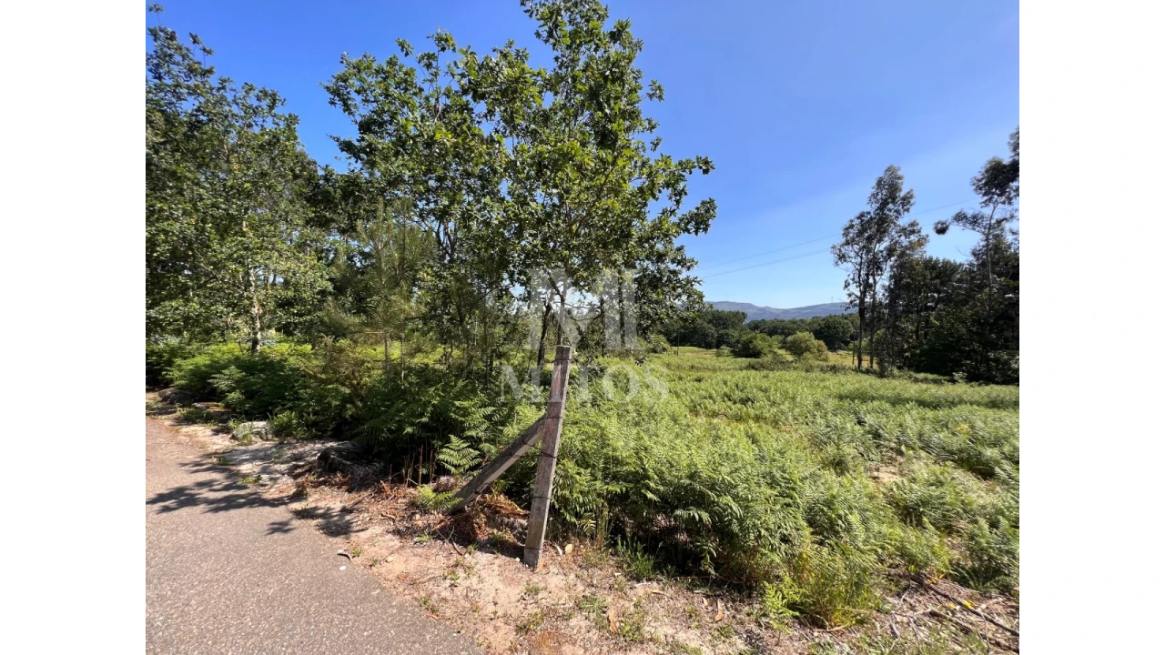 Terreno para Venda em São Pedro da Torre Foto 4