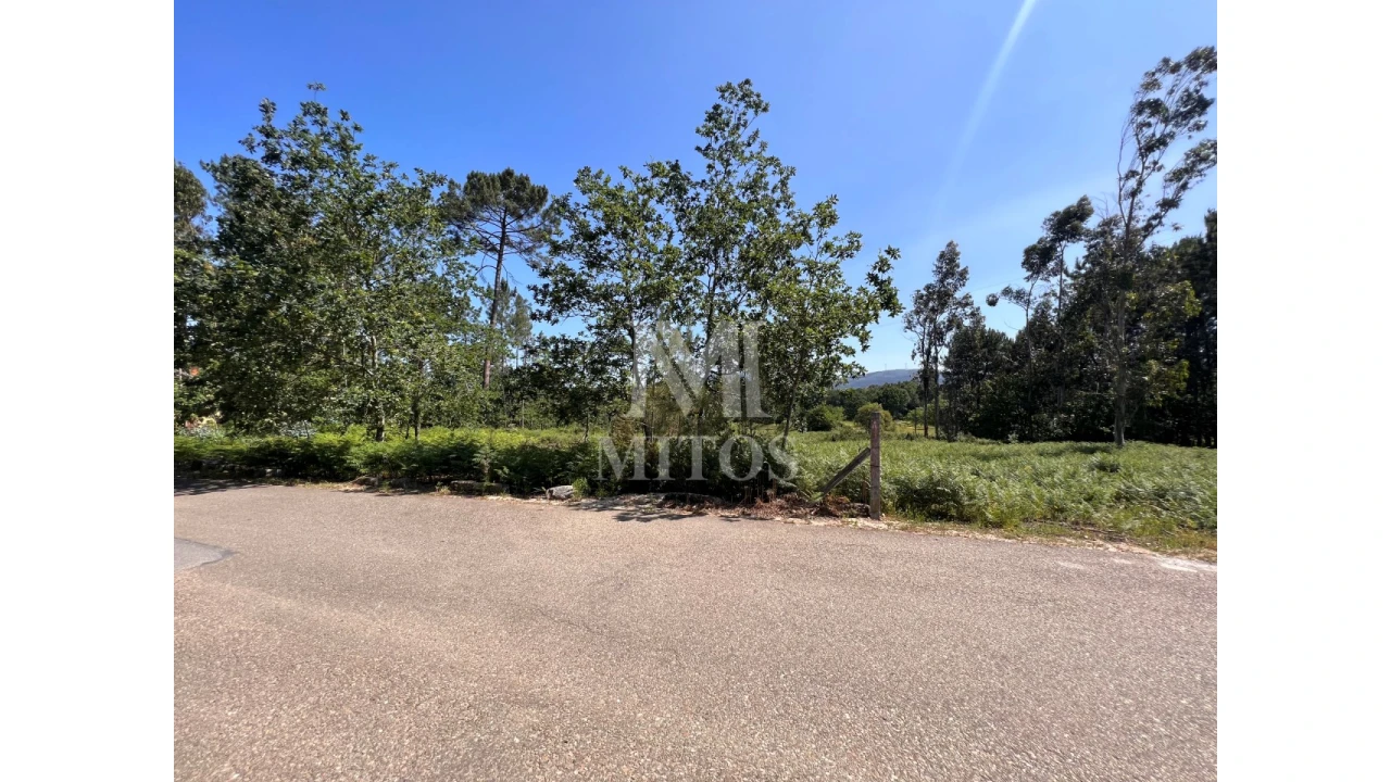 Terreno para Venda em São Pedro da Torre Foto 5