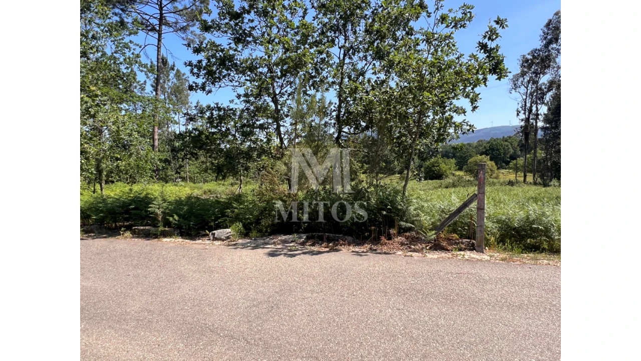 Terreno para Venda em São Pedro da Torre Foto 7