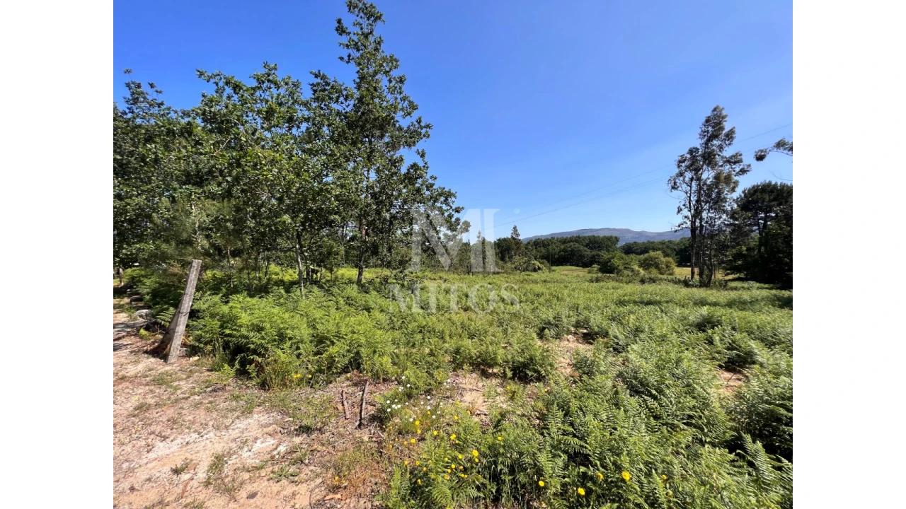 Terreno para Venda em São Pedro da Torre Foto 9