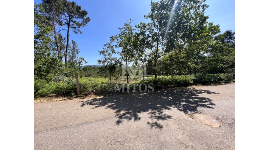 Terreno para Venda em São Pedro da Torre Foto 2
