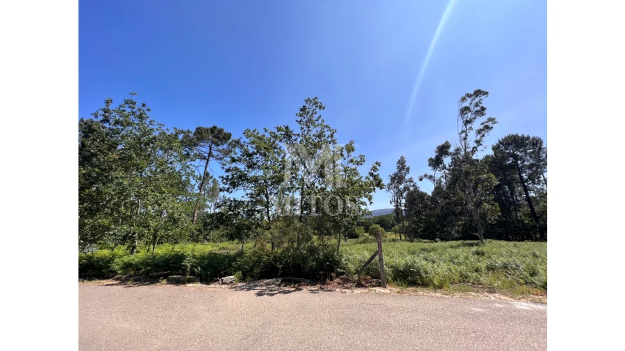 Terreno para Venda em São Pedro da Torre Foto 6