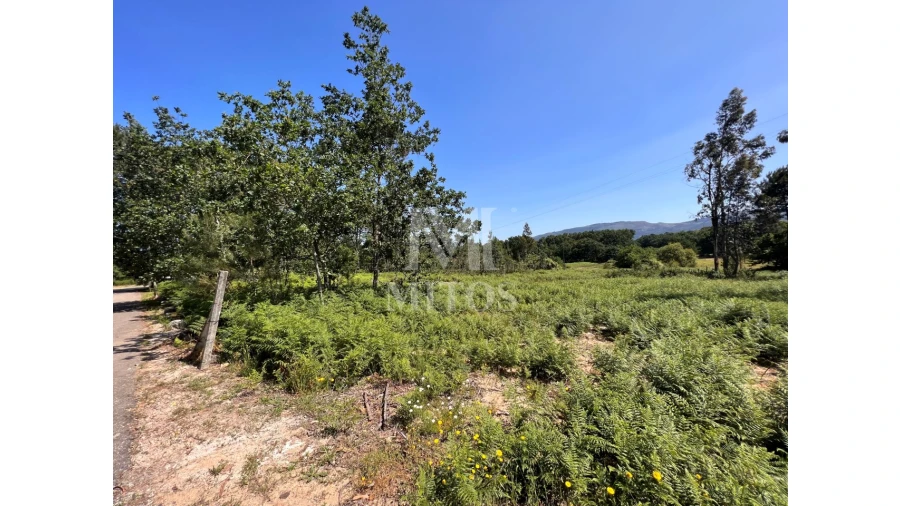Terreno para Venda em São Pedro da Torre Foto 8