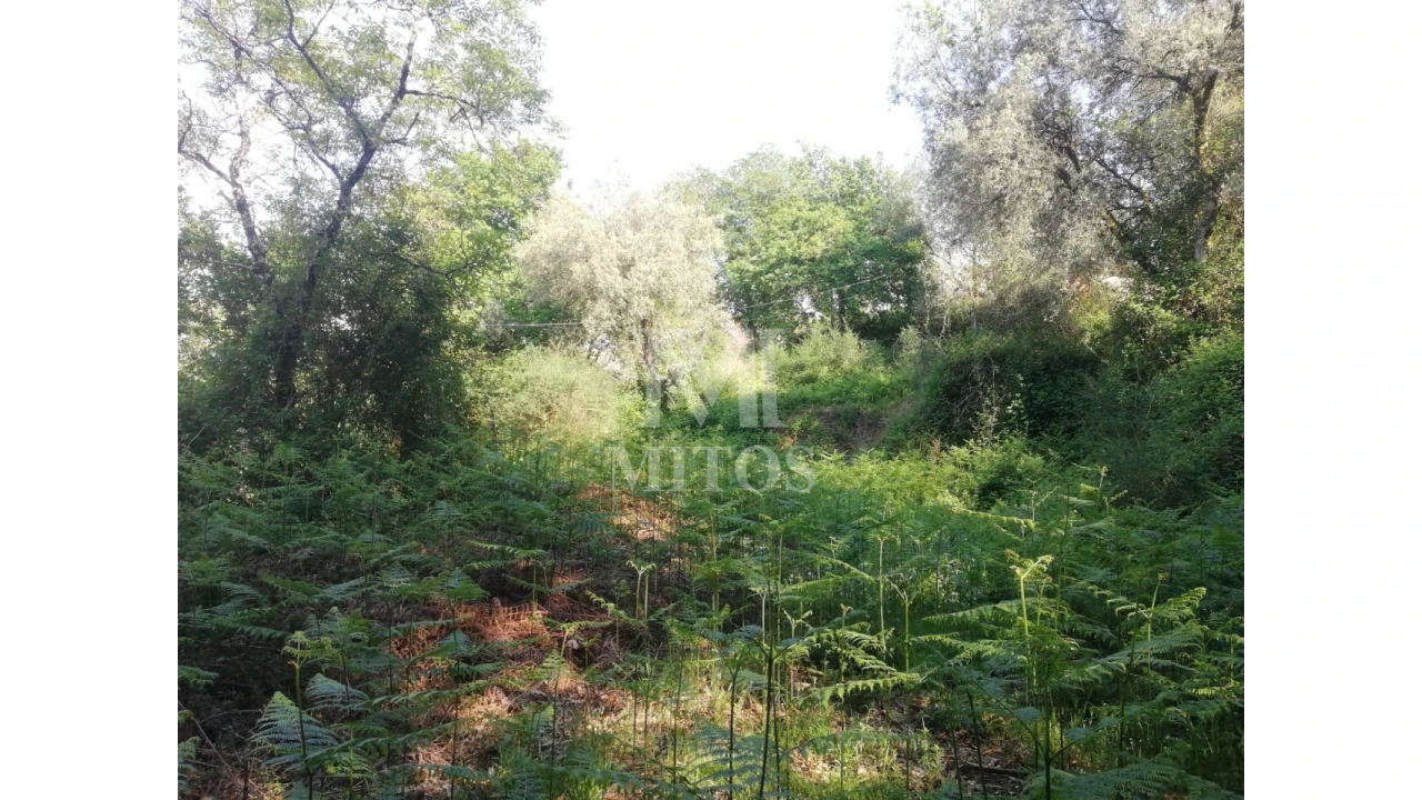 Moradia para Venda em Gondufe Foto 7