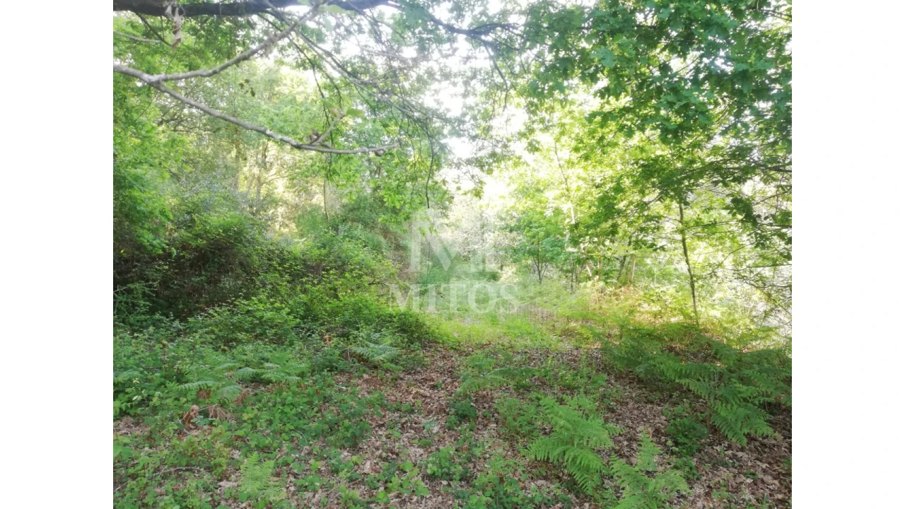 Moradia para Venda em Gondufe Foto 8