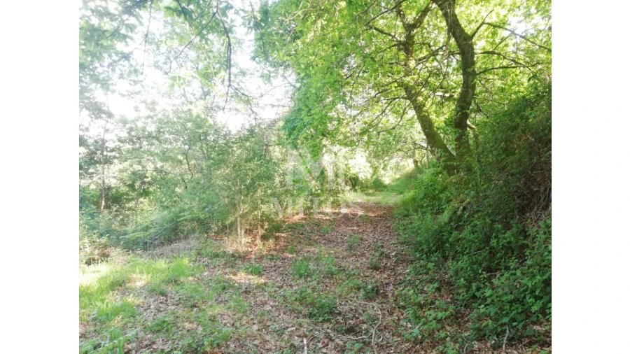 Moradia para Venda em Gondufe Foto 6