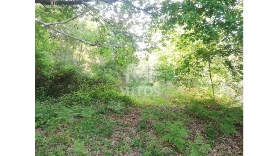 Moradia para Venda em Gondufe Foto 8