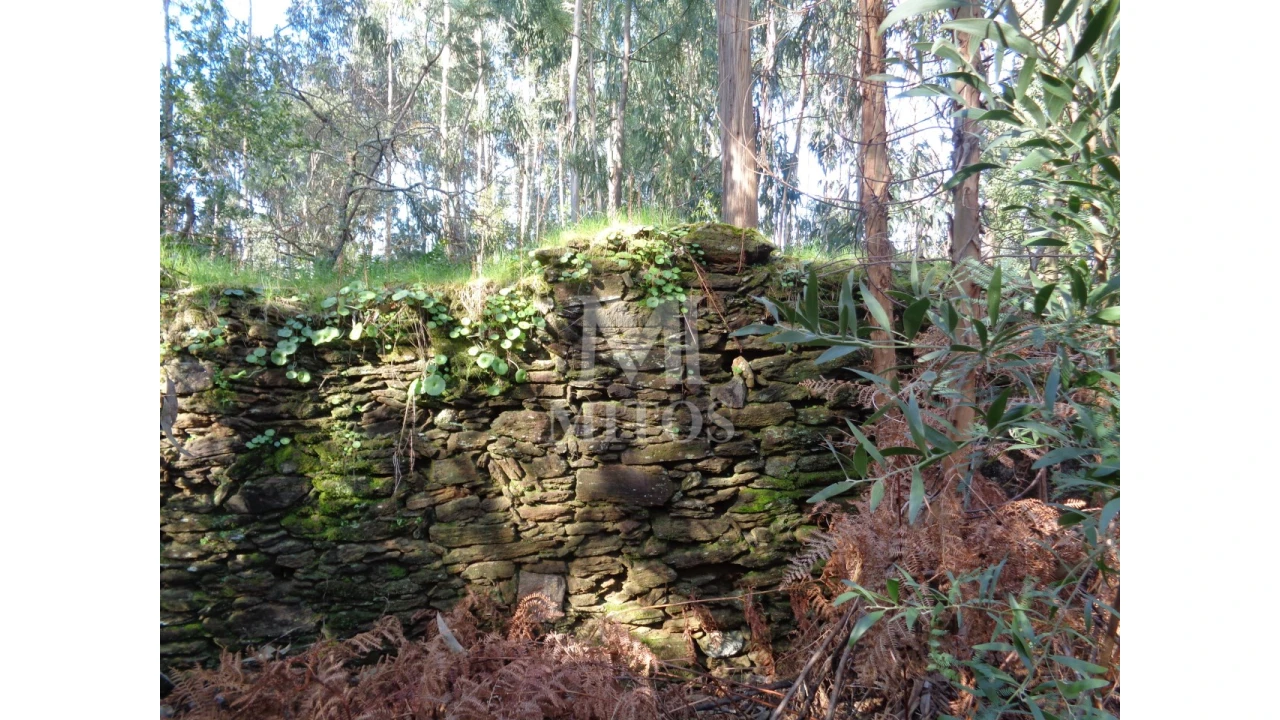 Moradia para Venda em Vilar de Mouros Foto 2