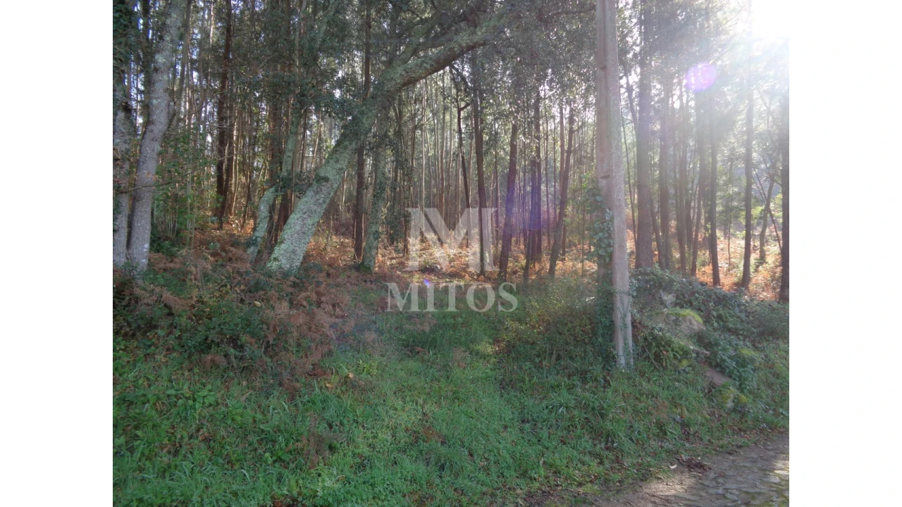 Moradia para Venda em Vilar de Mouros Foto 4