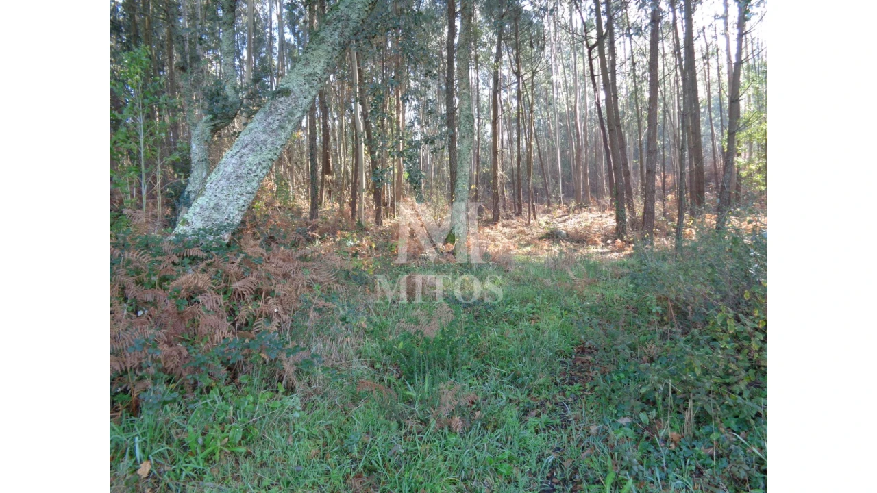 Moradia para Venda em Vilar de Mouros Foto 6