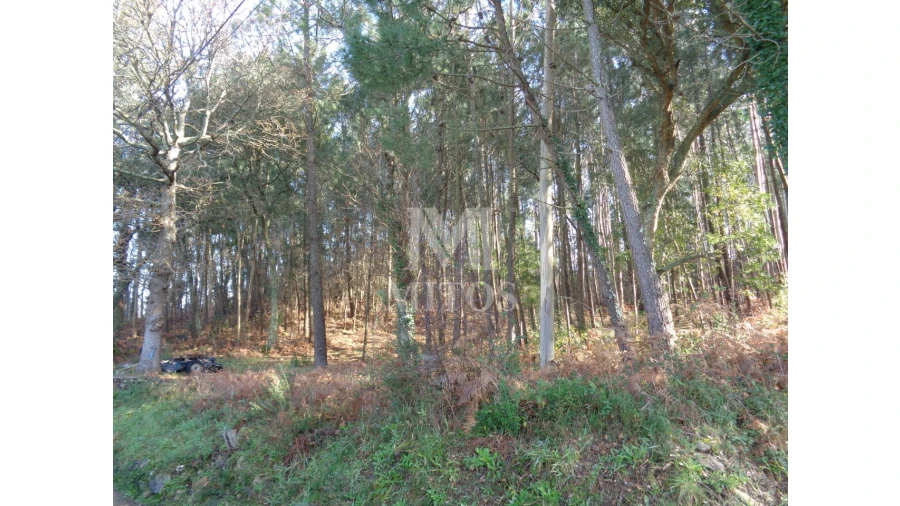 Moradia para Venda em Vilar de Mouros Foto 5