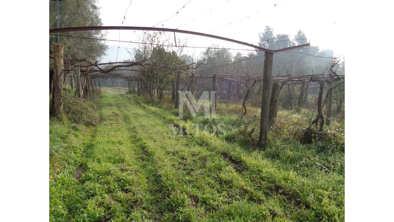 Quinta T3 para Venda em Cardielos e Serreleis Foto 8