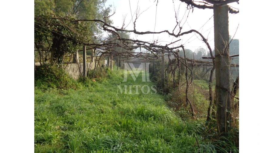 Quinta T3 para Venda em Cardielos e Serreleis Foto 6