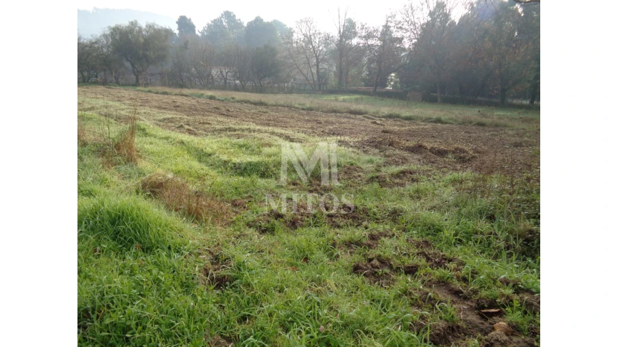 Quinta T3 para Venda em Cardielos e Serreleis Foto 9