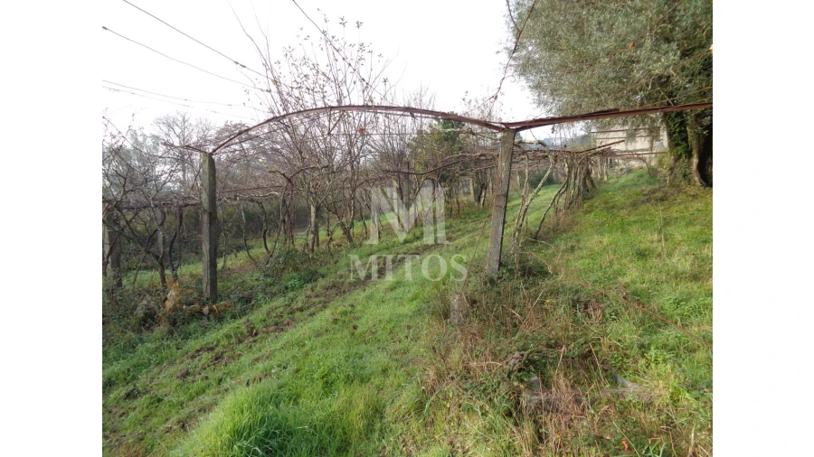 Quinta T3 para Venda em Cardielos e Serreleis Foto 10