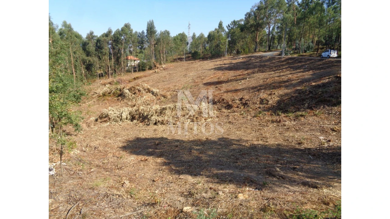 Terreno para Venda em Ribeira Foto 1