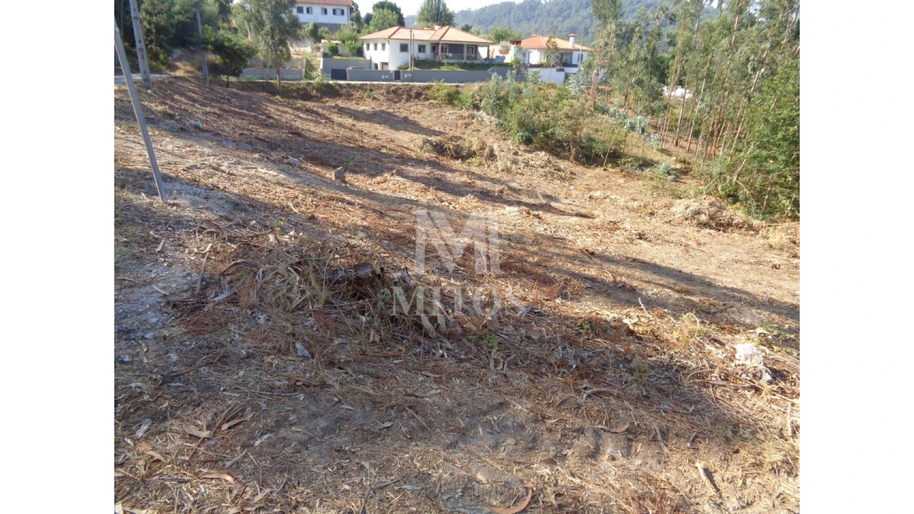 Terreno para Venda em Ribeira Foto 3