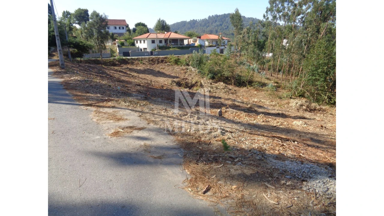 Terreno para Venda em Ribeira Foto 4