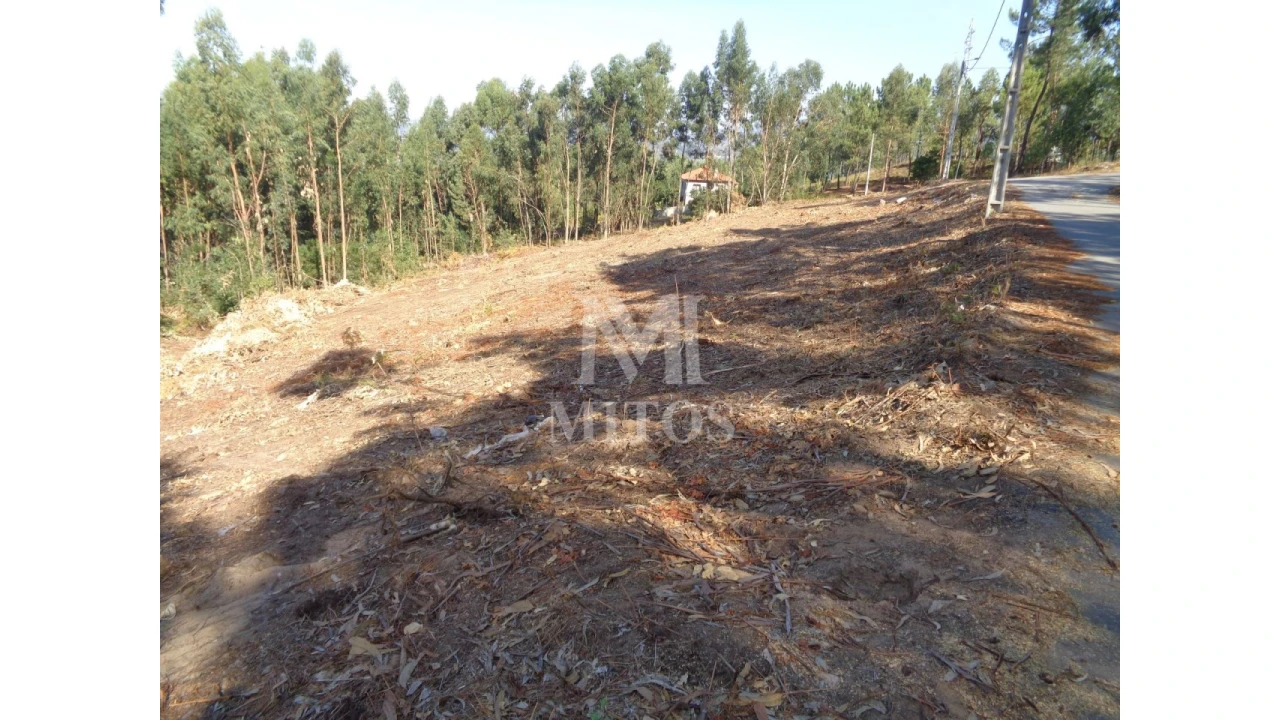 Terreno para Venda em Ribeira Foto 5