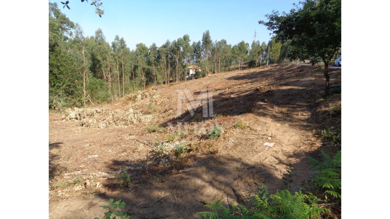 Terreno para Venda em Ribeira Foto 6