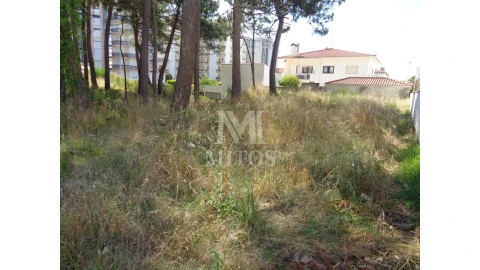 Terreno para Venda em Chafe