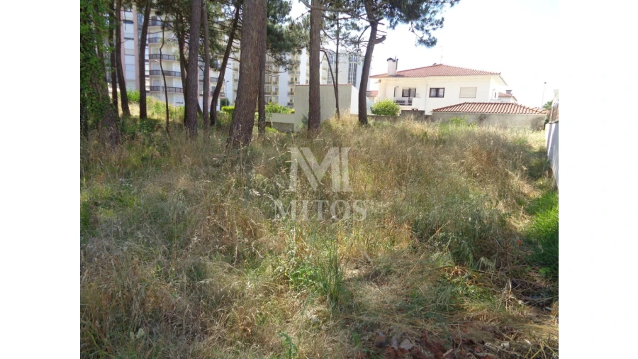 Terreno para Venda em Chafe Foto 3