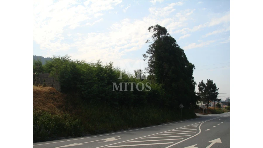 Terreno para Venda em Carreço Foto 4