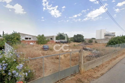 Terreno para Venda em Ferreiras