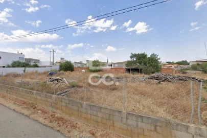 Terreno para Venda em Ferreiras