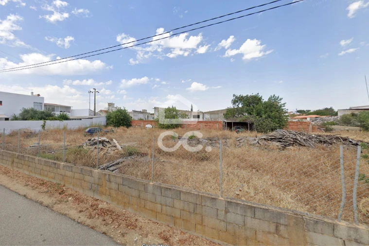 Terreno para Venda em Ferreiras Foto 4