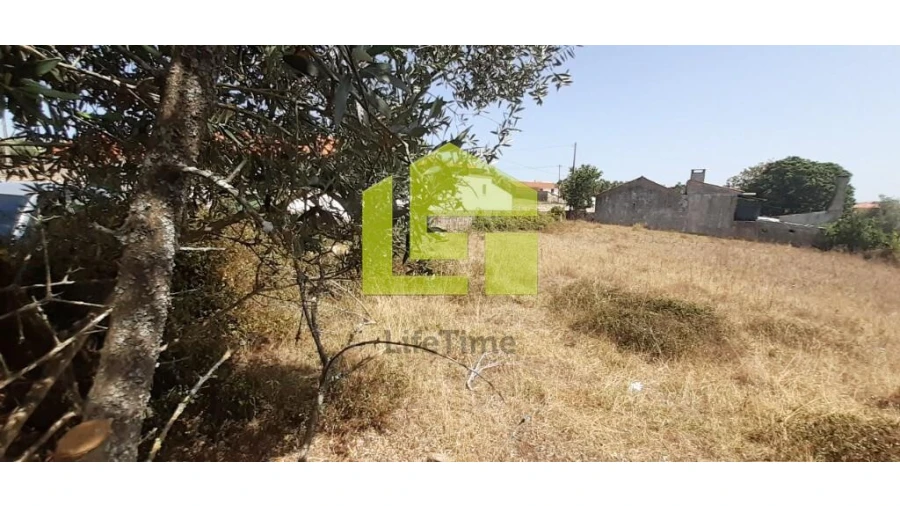 Terreno para Venda em Alvorge Foto 12