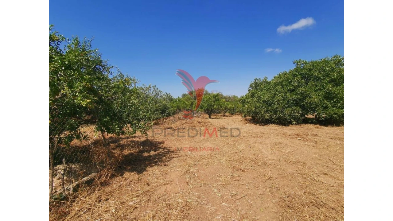 Moradia T4 para Venda em Loule (São Clemente) Foto 10