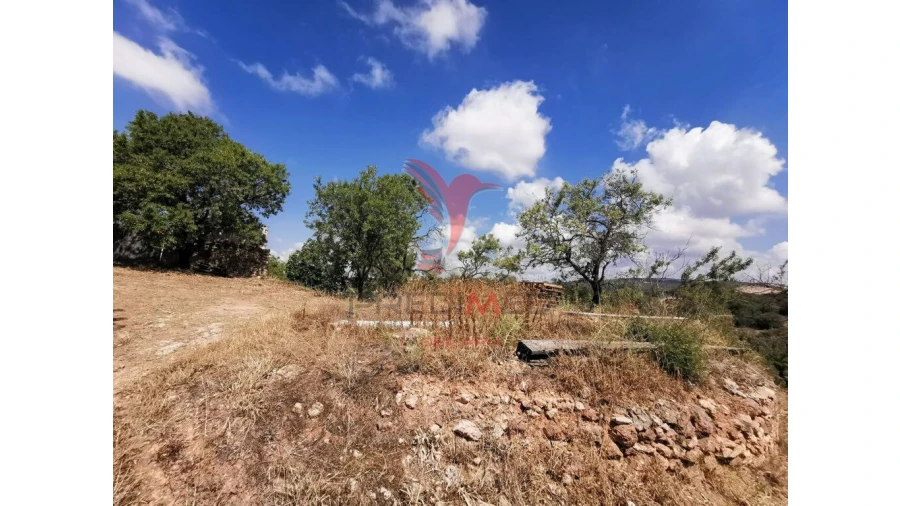 Moradia T4 para Venda em Loule (São Clemente) Foto 4
