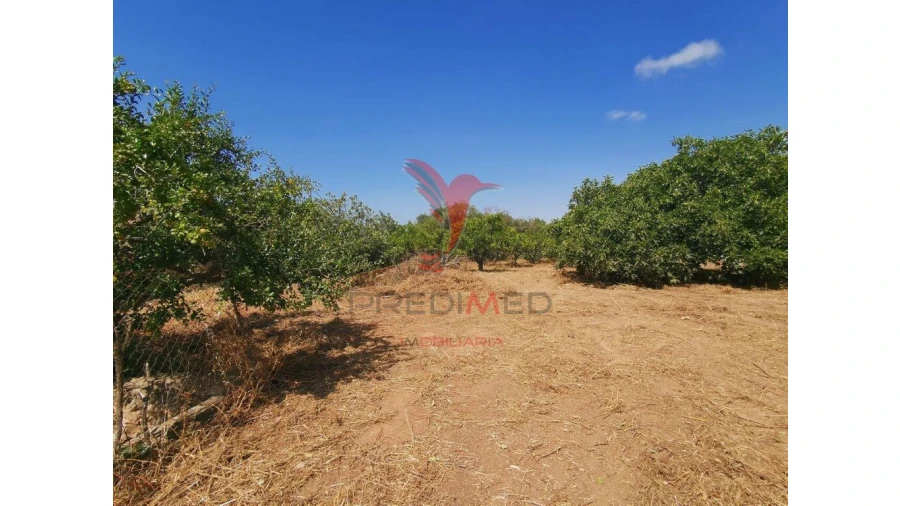 Moradia T4 para Venda em Loule (São Clemente) Foto 10