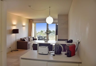 Apartamento T1 para Venda em Carvalhal