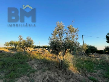 Terreno Agricola ou Rústico para Venda em Castelo Branco