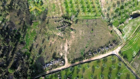 Terreno Agricola ou Rústico para Venda em Castelo Branco