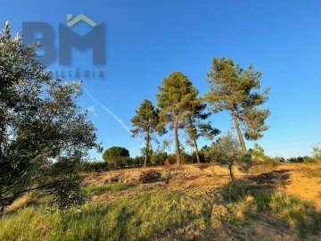 Terreno Agricola ou Rústico para Venda em Castelo Branco