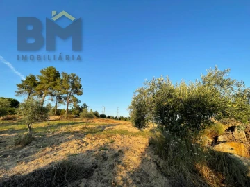 Terreno Agricola ou Rústico para Venda em Castelo Branco