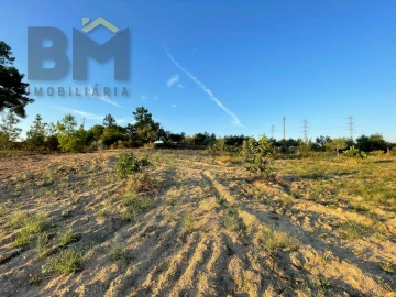 Terreno Agricola ou Rústico para Venda em Castelo Branco