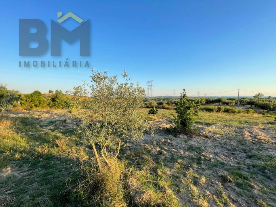 Terreno Agricola ou Rústico para Venda em Castelo Branco Foto 2