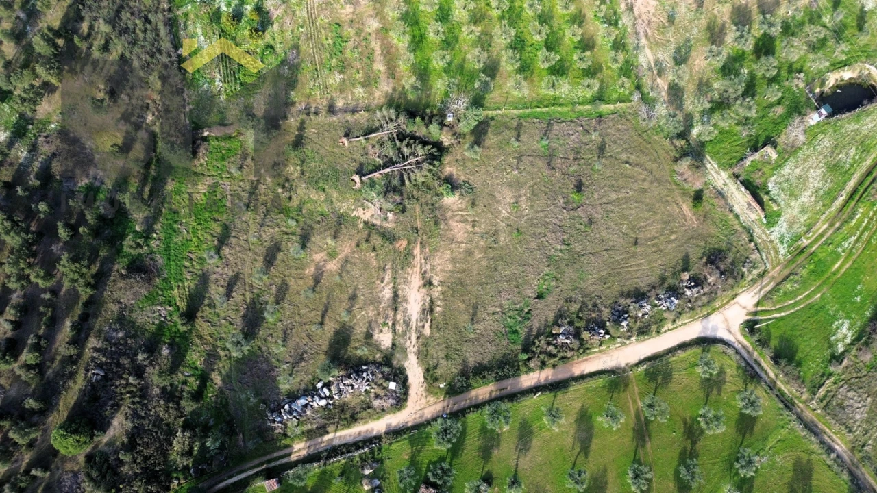 Terreno Agricola ou Rústico para Venda em Castelo Branco Foto 14