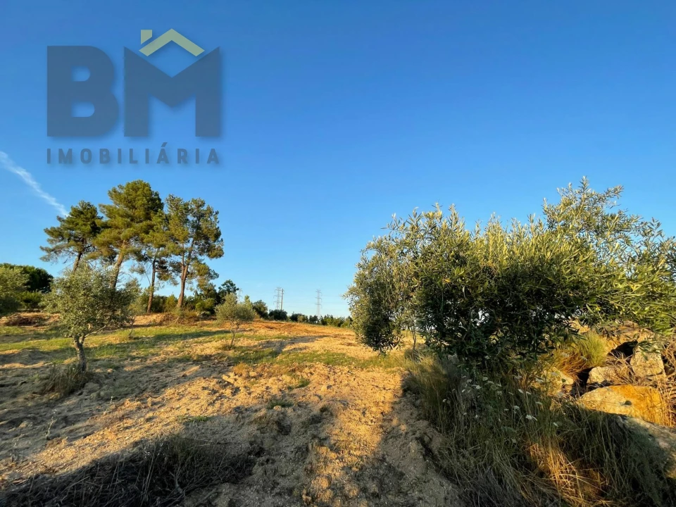 Terreno Agricola ou Rústico para Venda em Castelo Branco Foto 12