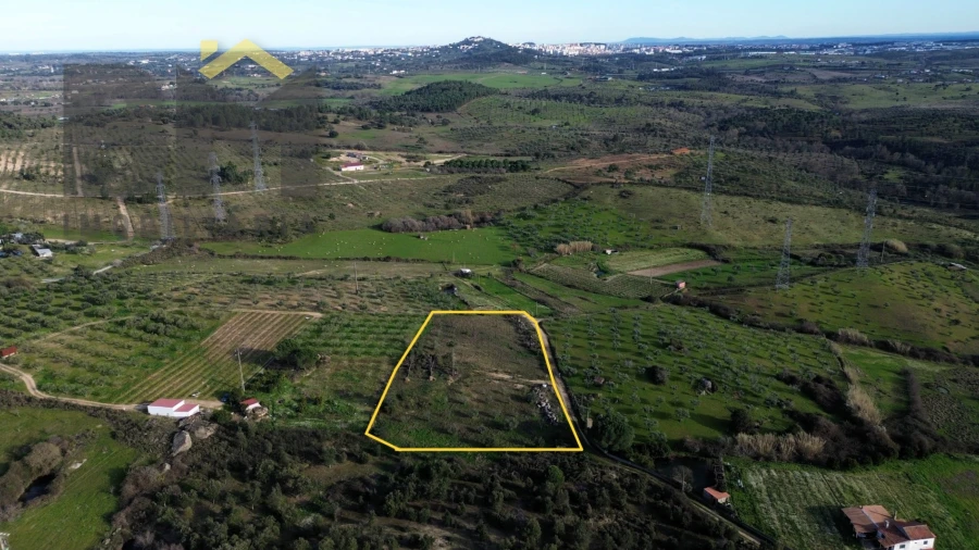Terreno Agricola ou Rústico para Venda em Castelo Branco
