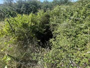 Terreno Agricola ou Rústico para Venda em Escalos de Cima e Lousa