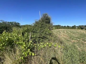 Terreno Agricola ou Rústico para Venda em Escalos de Cima e Lousa