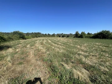 Terreno Agricola ou Rústico para Venda em Escalos de Cima e Lousa