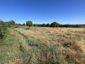 Terreno Agricola ou Rústico para Venda em Escalos de Cima e Lousa