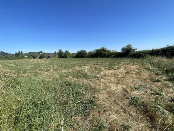 Terreno Agricola ou Rústico para Venda em Escalos de Cima e Lousa