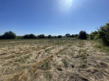 Terreno Agricola ou Rústico para Venda em Escalos de Cima e Lousa